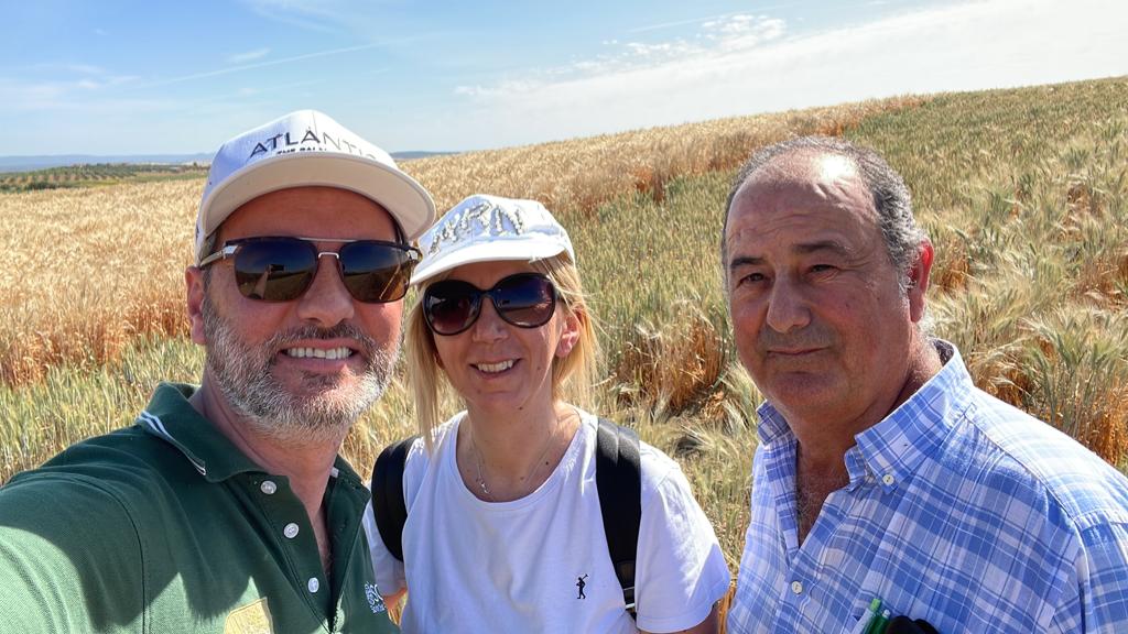 El nuevo cereal Tritordeum Ballesteros está a punto de saltar a Italia